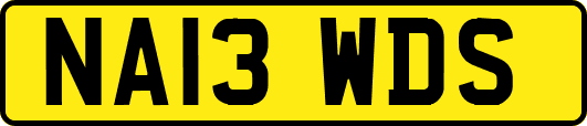 NA13WDS