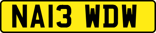 NA13WDW