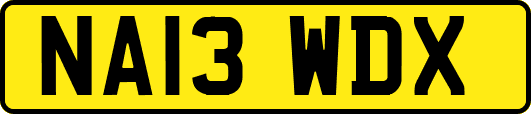 NA13WDX