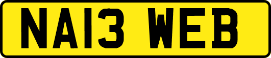 NA13WEB