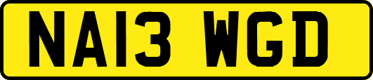 NA13WGD