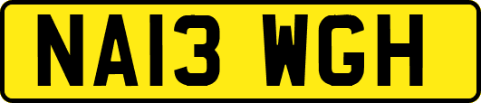 NA13WGH