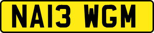 NA13WGM