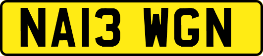 NA13WGN