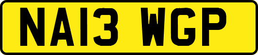NA13WGP
