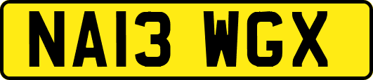 NA13WGX