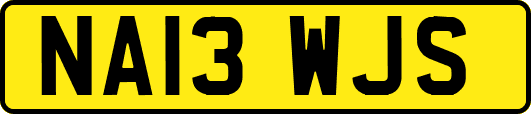 NA13WJS