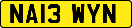 NA13WYN