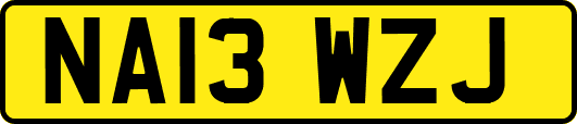 NA13WZJ