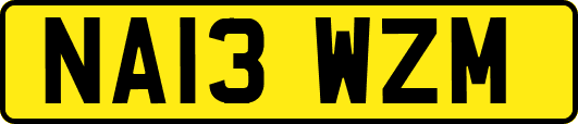 NA13WZM