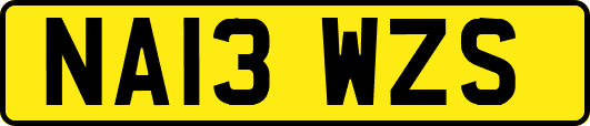 NA13WZS