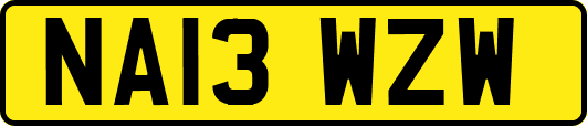 NA13WZW
