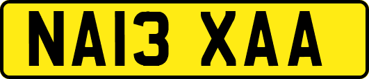 NA13XAA
