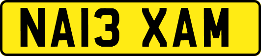 NA13XAM