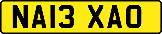 NA13XAO