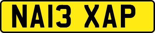 NA13XAP