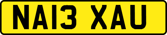NA13XAU