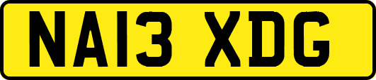 NA13XDG