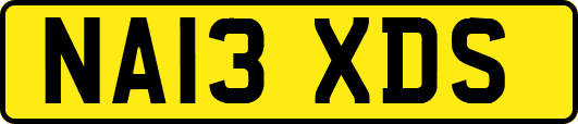 NA13XDS
