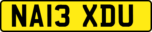NA13XDU