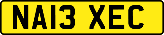 NA13XEC