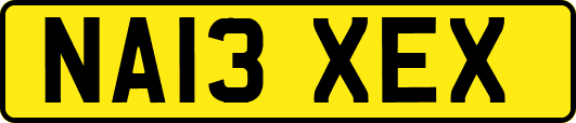 NA13XEX