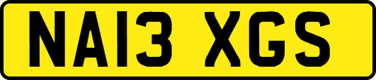 NA13XGS
