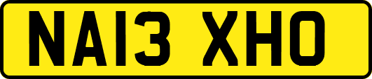 NA13XHO