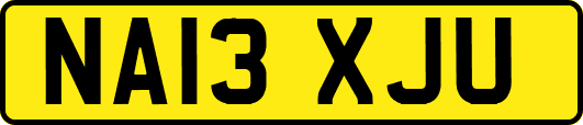 NA13XJU