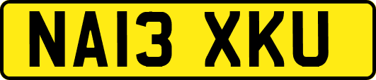 NA13XKU