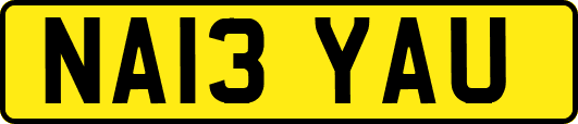 NA13YAU