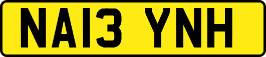 NA13YNH