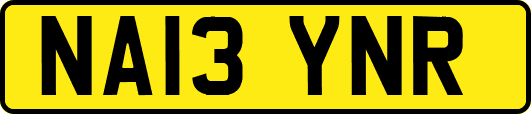 NA13YNR