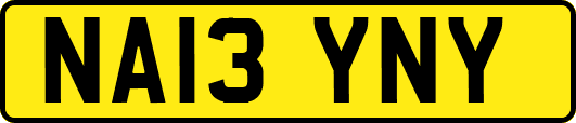 NA13YNY