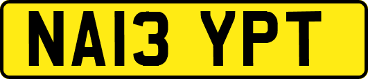 NA13YPT