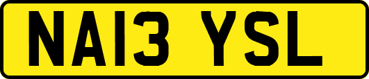 NA13YSL