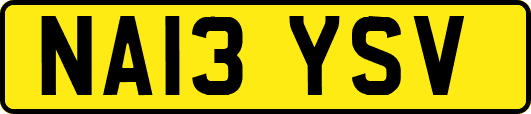 NA13YSV