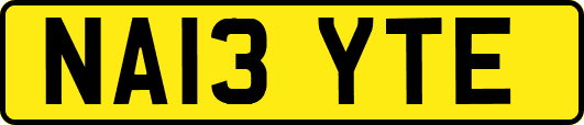 NA13YTE