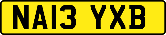 NA13YXB