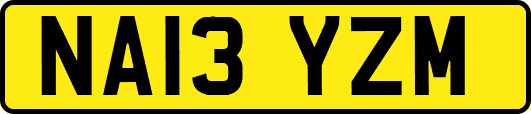 NA13YZM