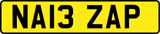 NA13ZAP
