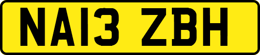 NA13ZBH
