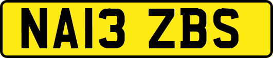 NA13ZBS