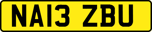 NA13ZBU