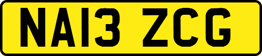 NA13ZCG