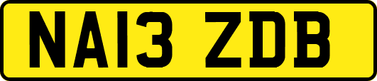 NA13ZDB