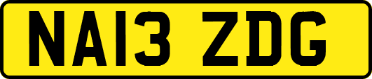 NA13ZDG