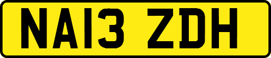 NA13ZDH
