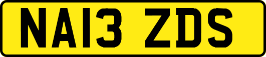 NA13ZDS