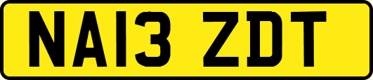 NA13ZDT
